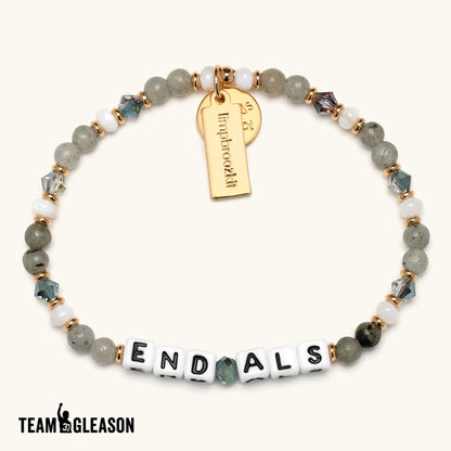 End ALS- ALS Support & Research