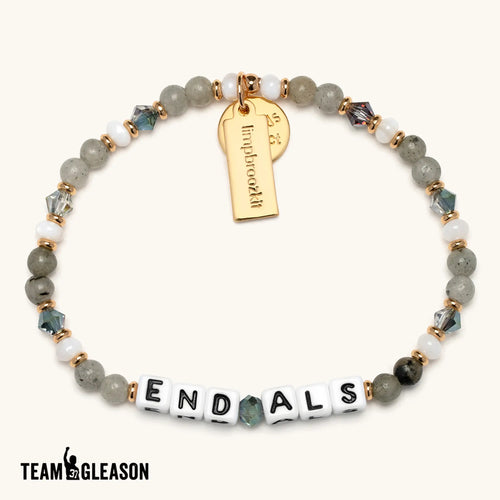 End ALS- ALS Support & Research