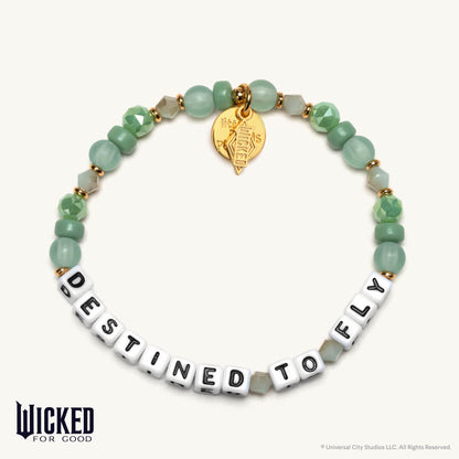 Destined To Fly- Wicked